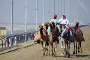 Bij de kamelenracebaan